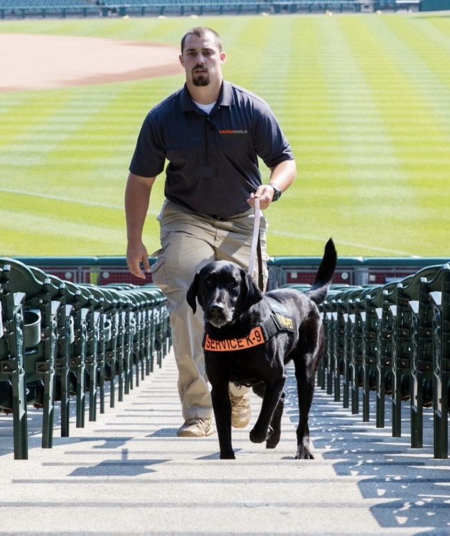 GardaWorld Federal Services Canine Services